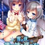 雪の夜、俺は妹を裸にする。