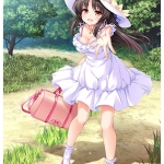 カケオチ