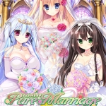 Pure Marriage ?赤い糸物語 ハーレム編?