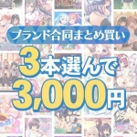 【まとめ買い】1，800作品以上から3本選んで3，000円！冬のブランド合同セット