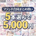 【まとめ買い】1，900作品以上から5本選んで5，000円！冬のブランド合同セット