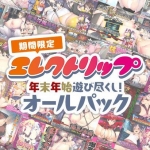【期間限定】エレクトリップ 年末年始遊び尽くし！オールパック
