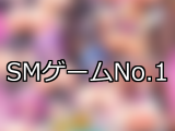 【FANZAゲーム】SM 人気ランキングTOP10